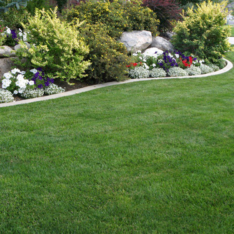 Handyman Services in Kernersville NC Handyman Services in Kernersville NC